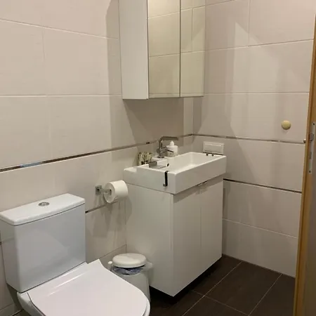 Lejlighed Bangu Apartamentas Su Terasa Palanga